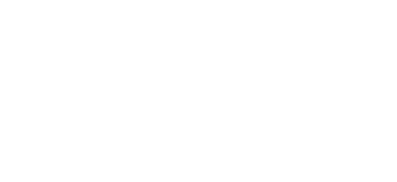 بینک آف پنجاب logo
